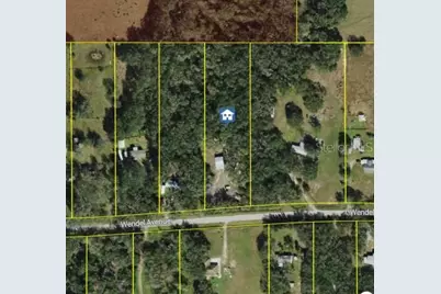 316 Wendel Avenue, Lithia, FL 33547 - Photo 1