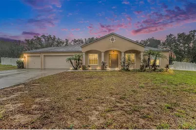 10442 Bloomfield Hills Drive, Seffner, FL 33584 - Photo 1