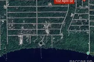 102 April St, Georgetown, FL 32139 - Photo 1