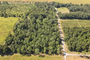 Amberlea Rd, Dade City, FL 33523 - Photo 1