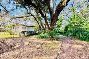 35444 Darlene Dr, Zephyrhills, FL 33541 - Photo 1