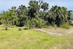 Conus Ave, North Port, FL 34288 - Photo 1