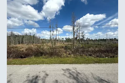 Green Willow Run #LOT 745, Wesley Chapel, FL 33544 - Photo 1