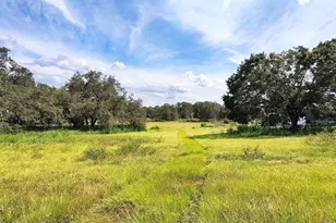 A D May Rd, Dade City, FL 33523 - Photo 1