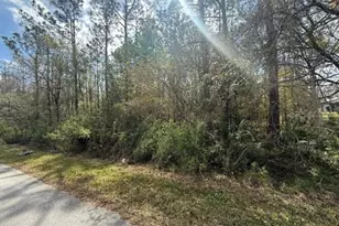 Green Willow Run, Wesley Chapel, FL 33544 - Photo 1