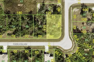 141 White Pine Dr, Rotonda West, FL 33947 - Photo 1