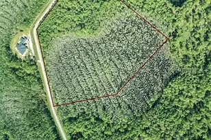 704 Hidden Palms Dr, Davenport, FL 33897 - Photo 1