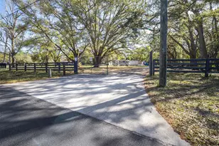 12831 Olive Jones Rd, Tampa, FL 33625 - Photo 1
