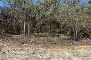 15061 Hummingbird Rd, Weeki Wachee, FL 34614 - Photo 1