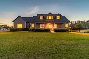 19530 Barrie Acres Trail, Odessa, FL 33556 - Photo 1