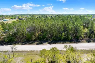 12010 Fulmar Rd, Weeki Wachee, FL 34614 - Photo 1