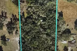 Cr 609B, Bushnell, FL 33513 - Photo 1