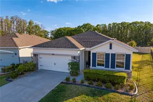 1044 Manzanar Pl, Wesley Chapel, FL 33543 - Photo 1