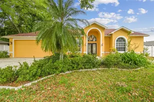 23211 Lucerne Pl, Land O Lakes, FL 34639 - Photo 1