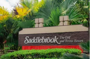 5454 Saddlebrook Way, Wesley Chapel, FL 33543 - Photo 1
