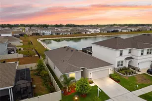 33581 Elm Hl Br, Wesley Chapel, FL 33545 - Photo 1