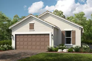 29516 Zupetta Ln, Wesley Chapel, FL 33545 - Photo 1