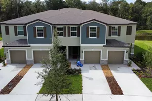 17596 Nectar Flume Dr, Land O Lakes, FL 34638 - Photo 1