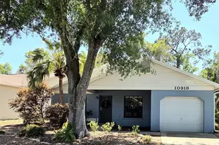 10918 Freemont Dr, New Port Richey, FL 34654 - Photo 1