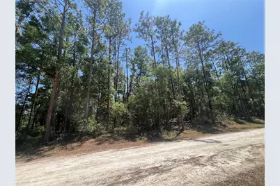 Octavia Lane, Webster, FL 33597 - Photo 1