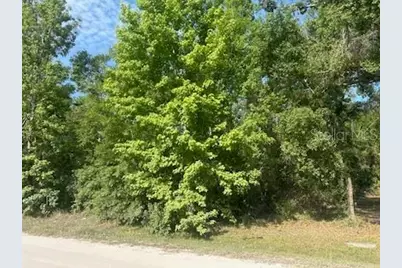 Lots 551-559 Hawthorne Street, Zephyrhills, FL 33540 - Photo 1