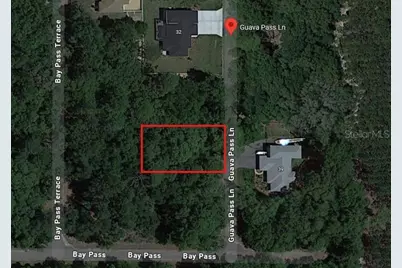 1484928 Guava Pass Lane, Ocklawaha, FL 32179 - Photo 1