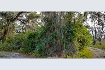 63 N Sheltering Oaks Drive, Inverness, FL 34453 - Photo 1