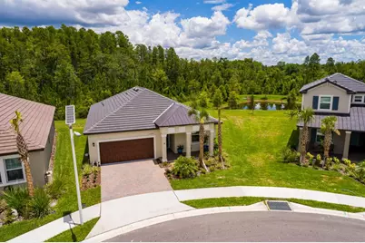 17263 Mango Shay Court, Land O Lakes, FL 34638 - Photo 1