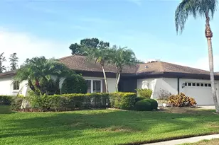 50 Water Oak Way, Oldsmar, FL 34677 - Photo 1