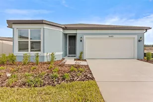 36485 Sespe Creek Ct, Zephyrhills, FL 33540 - Photo 1