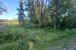 14805 Berkford Ave, Tampa, FL 33625 - Photo 1