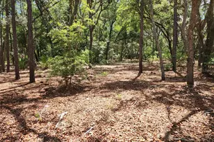 3775/3787 S Osprey Point, Inverness, FL 34450 - Photo 1