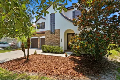 20317 Chestnut Grove Drive, Tampa, FL 33647 - Photo 1