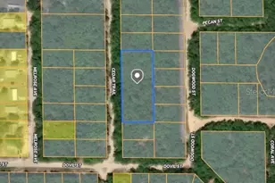 Cedar Trail, Interlachen, FL 32148 - Photo 1