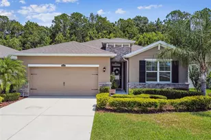 32825 Sand Creek Dr, Wesley Chapel, FL 33543 - Photo 1