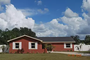 11210 McMullen Rd, Riverview, FL 33569 - Photo 1