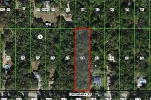 1191 E Bismark St, Hernando, FL 34442 - Photo 1