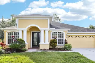 27209 Firebush Dr, Wesley Chapel, FL 33544 - Photo 1