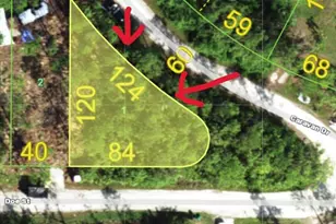 28406 Doe St, Punta Gorda, FL 33955 - Photo 1