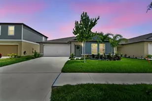 13235 Palmerston Rd, Riverview, FL 33579 - Photo 1