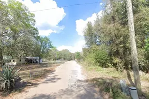 157th St, Umatilla, FL 32784 - Photo 1