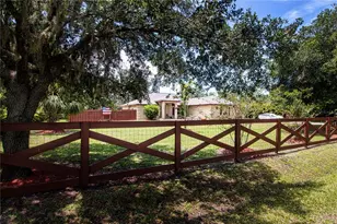 408 River Bed Ct, Wimauma, FL 33598 - Photo 1