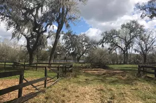 Palomino Lakes Dr, Dade City, FL 33523 - Photo 1