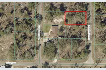 Tbd Guava Pass Crossing Crossing #5, Ocklawaha, FL 32179 - Photo 1