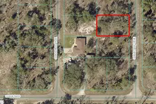 Tbd Guava Pass Crossing Crossing, Ocklawaha, FL 32179 - Photo 1