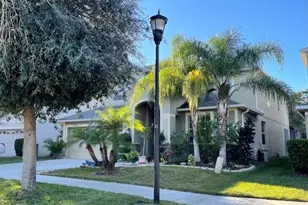 20418 Carolina Cherry Ct, Tampa, FL 33647 - Photo 1