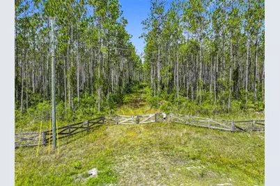 Tbd NW Cr 336, Chiefland, FL 32626 - Photo 1
