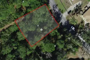 12 Rebecca Ct, Homosassa, FL 34446 - Photo 1