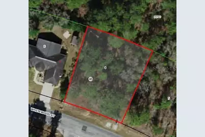 82 Whitewood Street, Homosassa, FL 34446 - Photo 1