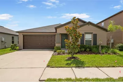 10390 Scarlett Skimmer Drive, Riverview, FL 33578 - Photo 1